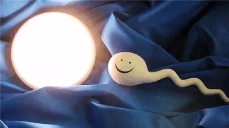 关于供卵代怀包生男孩机构